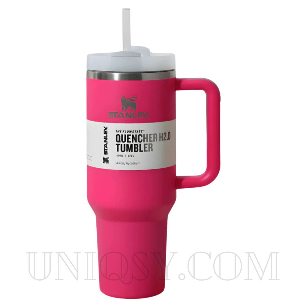 Stanley 40 OZ Tumbler with Handle and Straw Lid - Stainless Steel