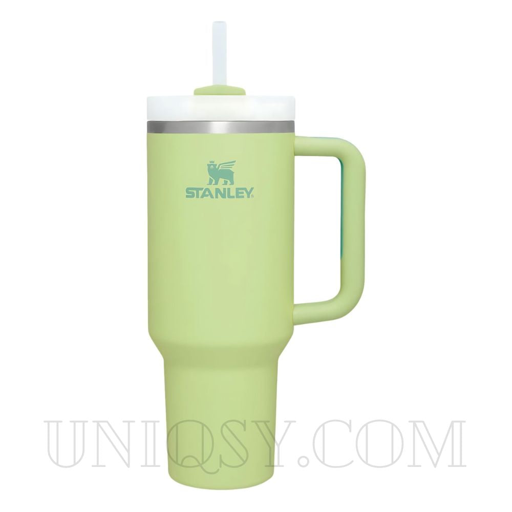 Stanley 40 OZ Tumbler Cup with Handle and Straw